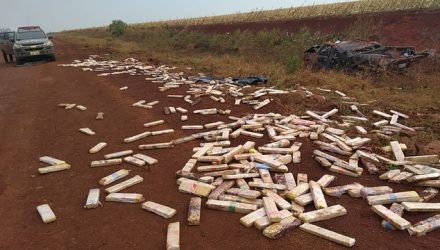 Droga ficou espalhada pela estrada de terra (Foto: DOF / Divulgação ).