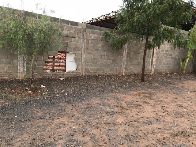 Motorista de 18 anos bateu o carro em um muro em Palestina (SP) — Foto: André Modesto/TV TEM