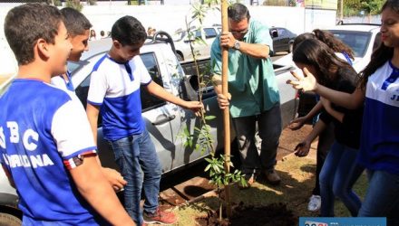 Projeto de arborização urbana é implantado entre as escolas estaduais Álvaro Guião e João Brembatti Calvoso. Fotos: Secom/Prefeitura