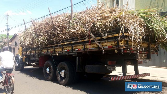 Depois de elaborada multa pela infração cometida, caminhão foi liberado para o dono da carga. Foto: MANOEL MESSIAS/Agência 
