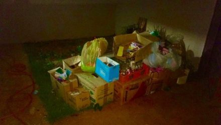 Mulher deixou corpo da mãe 22 dias em casa e depois colocou na calçada com caixa em cima, diz polícia — Foto: Polícia Civil/Divulgação
