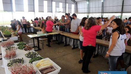 feira_empreendedor1