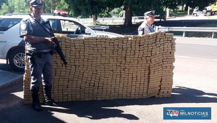 Foram apreendidos 929 tabletes prensados de maconha (Cannabis Sativa). Foto: MANOEL MESSIAS/MIL NOTICIAS