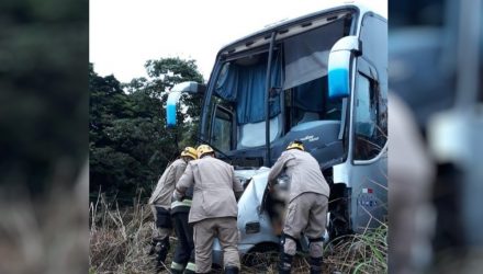 Carro bateu de frente contra ônibus na BR-020, em Formosa, Goiás — Foto: Divulgação/Corpo de Bombeiros.