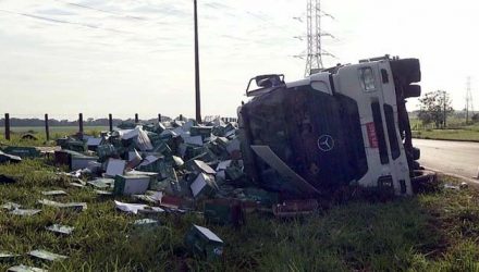 Caminhão carregado com papel tombou em rodovia em Pereira Barreto — Foto: Reprodução/TV TEM