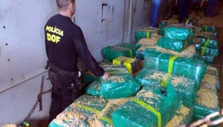 Mais de 10 toneladas de maconha estavam escondidas em carreta carregada com milho a granel - Imagem: Divulgação / DOF