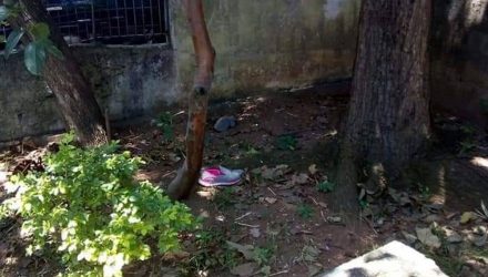 Tênis da vítima ficou no local próximo onde corpo foi encontrado — Foto: Arquivo pessoal.