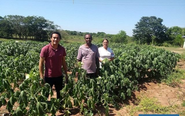 Sistema de Produção e Comercialização Agrária de Andradina está em fase de estudos. Foto: Secom/Prefeitura