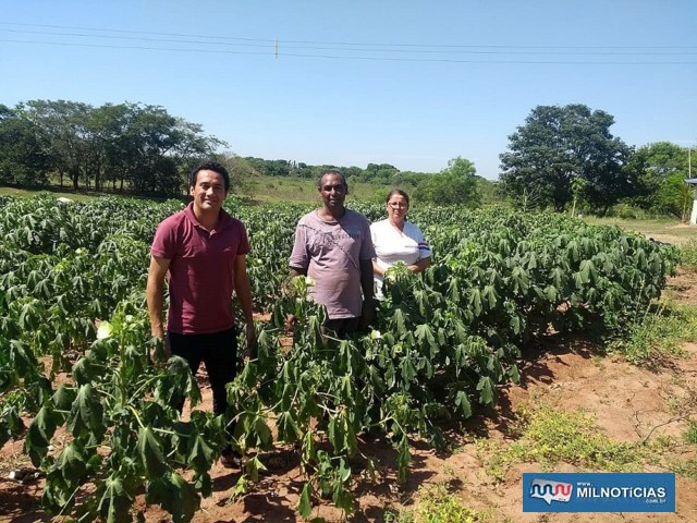 Sistema de Produção e Comercialização Agrária de Andradina está em fase de estudos. Foto: Secom/Prefeitura
