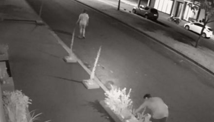 Imagens do circuito de segurança flagraram homem furtando plantas ornamentais de calçada da residência. Em um dos casos estava só e no outro acompanhado de uma mulher. Foto: DIVULGAÇÃO