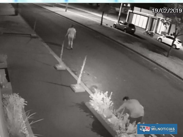 Imagens do circuito de segurança flagraram homem furtando plantas ornamentais de calçada da residência. Em um dos casos estava só e no outro acompanhado de uma mulher. Foto: DIVULGAÇÃO