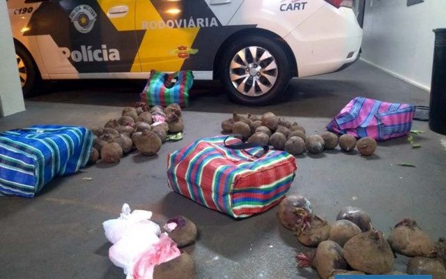 Fotos: DIVULGAÇÃO/PMRv