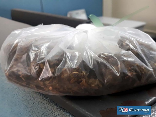 Foram apreendidas 38,5 gramas de maconha que a indiciada trazia na cavidade vaginal. Foto: MANOEL MESSIAS/Agência