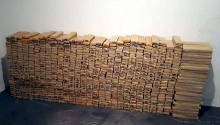 Mais de 830 quilos de maconha foram apreendidos em Urupês — Foto: Arquivo pessoal