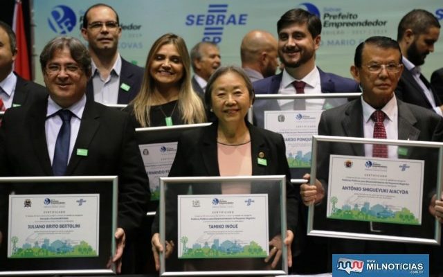 Tamiko_sebrae1