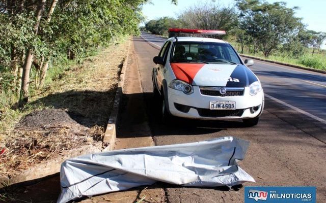 Corpo foi localizado no KM 193 da rodovia Integração. Foto: MANOEL MESSIAS/Agência