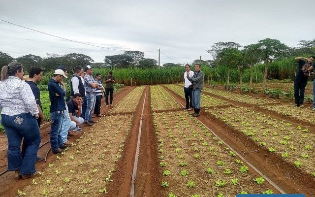 Estudantes puderam visitar hortas de produtores que estão participando do Sistema de Produção e Comercialização de Andradina. Foto: Secom/Prefeitura