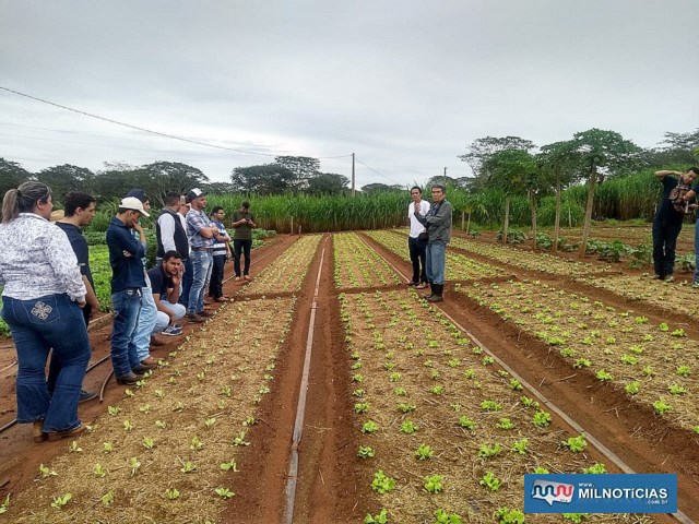Estudantes puderam visitar hortas de produtores que estão participando do Sistema de Produção e Comercialização de Andradina. Foto: Secom/Prefeitura