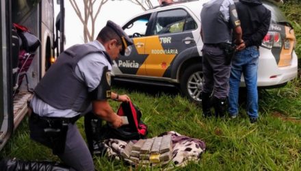 Rapaz foi preso com 14 tijolos de maconha. Foto: DIVULGAÇÃO/PMRv