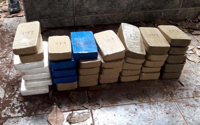 Grande quantidade de drogas foi apreendida em chácara em Jaci — Foto: Arquivo Pessoal