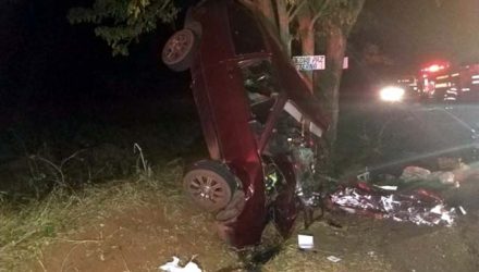 Carro bateu contra árvore em rodovia em Mirante do Parapanema — Foto: Polícia Rodoviária