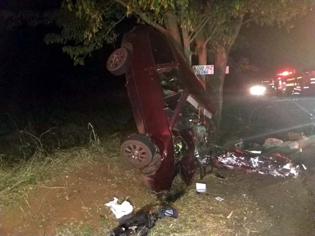 Carro bateu contra árvore em rodovia em Mirante do Parapanema — Foto: Polícia Rodoviária