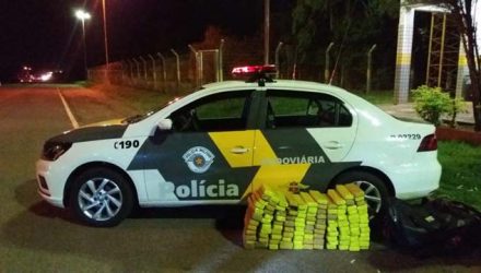 Polícia apreendeu mais de 90 kg de maconha — Foto: Polícia Rodoviária.