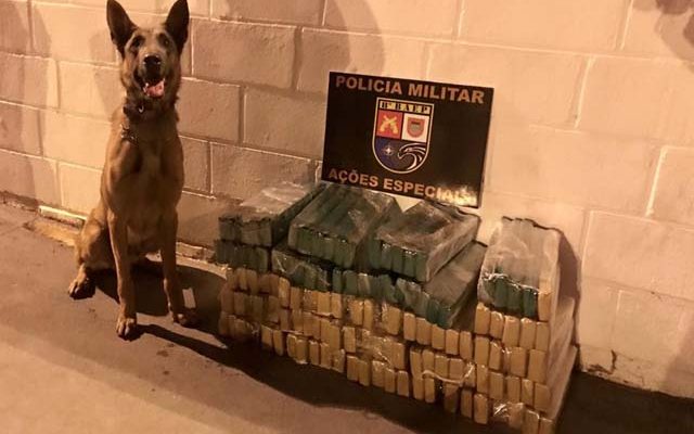 As três caixas de papelão que continham maconha foram localizadas pelo cão Thor, da PM — Foto: Cedida/Polícia Militar