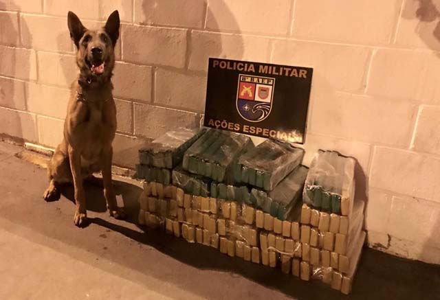 As três caixas de papelão que continham maconha foram localizadas pelo cão Thor, da PM — Foto: Cedida/Polícia Militar