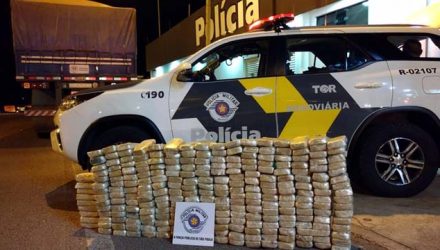 Polícia apreende 255 tabletes de pasta base cocaína escondidos em fundo falso de caminhão — Foto: Polícia Rodoviária / Divulgação