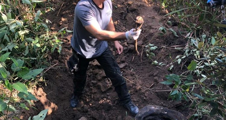 Polícia acha mais corpos em cemitério candestino em Itaboraí — Foto: Divulgação.