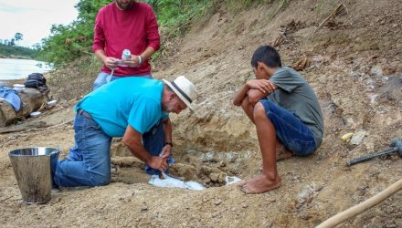 Menino de 11 achou fóssil de réptil gigante de 8 milhões de anos às margens de rio no Acre — Foto: Arquivo pessoal/Raylanderson Frota.