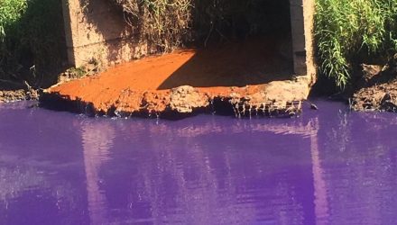 Água do córrego Caputera, em Itaquaquecetuba, amanheceu roxa e impressionou moradores. — Foto: Adriana Aparecida Santos/Arquivo Pessoal.