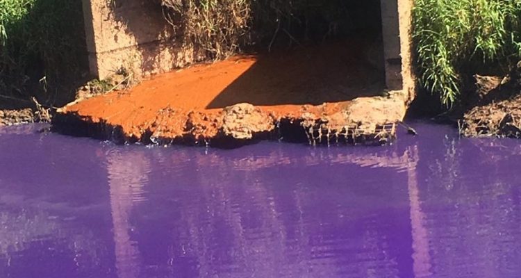 Água do córrego Caputera, em Itaquaquecetuba, amanheceu roxa e impressionou moradores. — Foto: Adriana Aparecida Santos/Arquivo Pessoal.