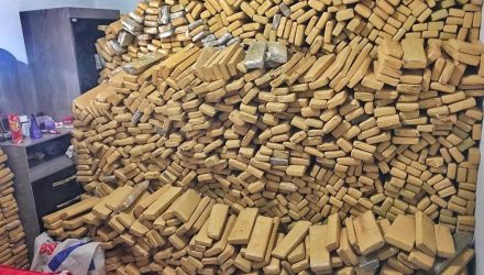 Ao todo, 4.492kg de maconha foram encontrados em fazenda em Amambai, na fronteira com o Paraguai — Foto: DOF/Divulgação.