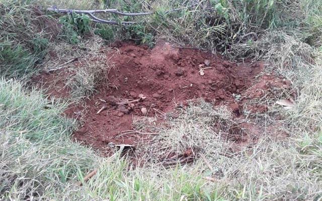 Preso por não pagar pensão revela lugar onde irmão desaparecido há um ano estava enterrado — Foto: Divulgação/Policia Civil.