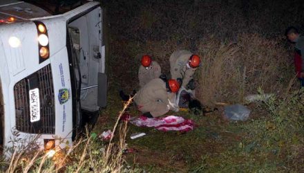 Entre os feridos estão uma gestante, de 22 anos, uma adolescente, de 15 anos, e uma criança, de 4 anos (Foto: Reprodução/ O Correio News)