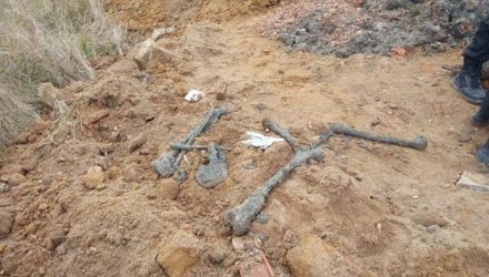 Polícia e MP-RJ encontraram quatro ossadas no local, uma área de mata no Parque Sarandi, em Queimados — Foto: Reprodução/Arquivo Pessoal.