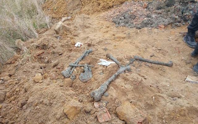 Polícia e MP-RJ encontraram quatro ossadas no local, uma área de mata no Parque Sarandi, em Queimados — Foto: Reprodução/Arquivo Pessoal.