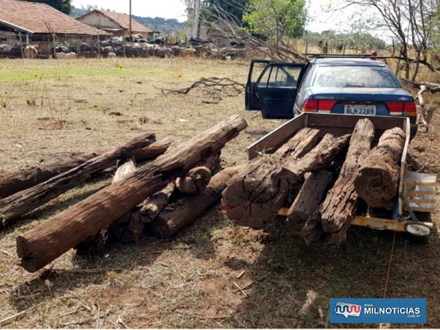 Os 15 palanques de madeira fora recuperados e devolvidos ao sítio. O automóvel e a carretinha foram apreendidos pela PM. Foto: DIVULGAÇÃO 