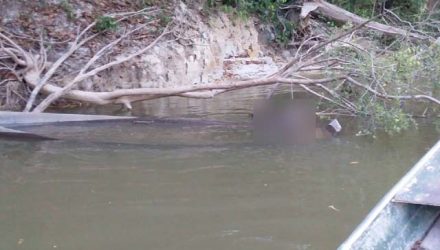 Idoso de 72 anos foi assassinado e corpo foi encontrado em barco preso a galhos no Rio Guariba em Colniza — Foto: Polícia Civil de Colniza (MT).