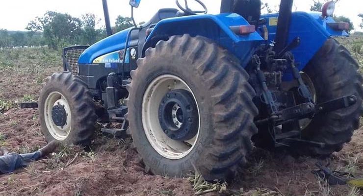 Idoso foi encontrado morto após ser picado por abelhas em MS — Foto: Corpo de Bombeiros/Divulgação.