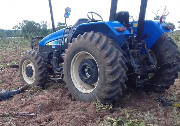 Idoso foi encontrado morto após ser picado por abelhas em MS — Foto: Corpo de Bombeiros/Divulgação.
