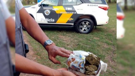 Foi apreendido um pacote contendo 250 gramas de maconha, que estava escondido na cueca do acusado. Foto: DIVULGAÇÃO/PMRv