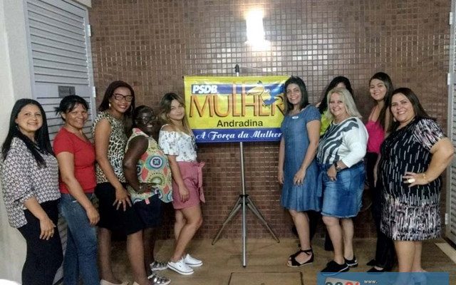 PSDB Mulher de Andradina se reuniu na última sexta-feira (30). Foto: DIVULGAÇÃO