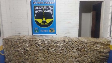 Tabletes de maconha que estavam em fundo falso de carreta — Foto: PMR/Divulgação.