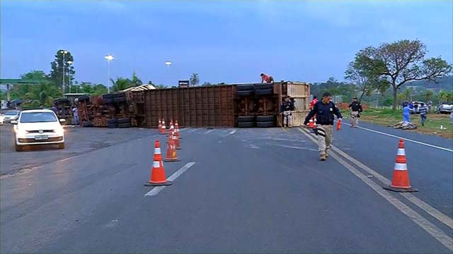 Caminhão carregado com bois se envolve em acidente — Foto: Reprodução/TV TEM