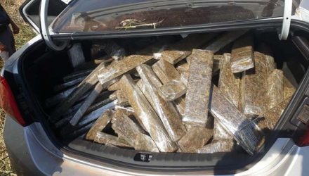 Carga de maconha foi apreendida em Pirapozinho — Foto: Polícia Militar.