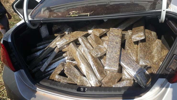 Carga de maconha foi apreendida em Pirapozinho — Foto: Polícia Militar.