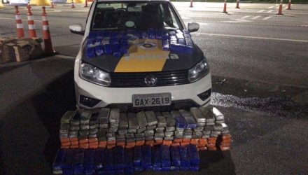 Polícia apreende dezenas de tabletes de maconha em carro na Rodovia Raposo Tavares — Foto: Divulgação/Policia Militar.